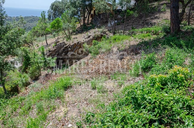 Mark till salu i Serra Brava, Lloret de Mar - 125 000 € (Ref: 7458213)