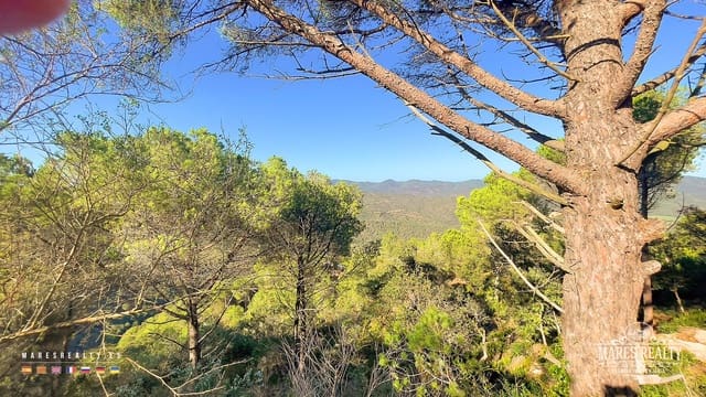 Landgrundstück zu verkaufen in Serra Brava, Lloret de Mar - 55.000 € (Ref: 7854711)