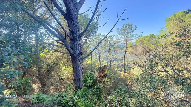 Landgrundstück zu verkaufen in Serra Brava, Lloret de Mar - 55.000 € (Ref: 7854711)
