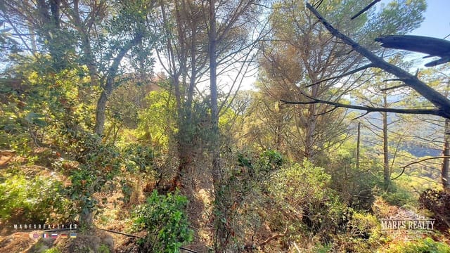 Landgrundstück zu verkaufen in Serra Brava, Lloret de Mar - 55.000 € (Ref: 7854711)