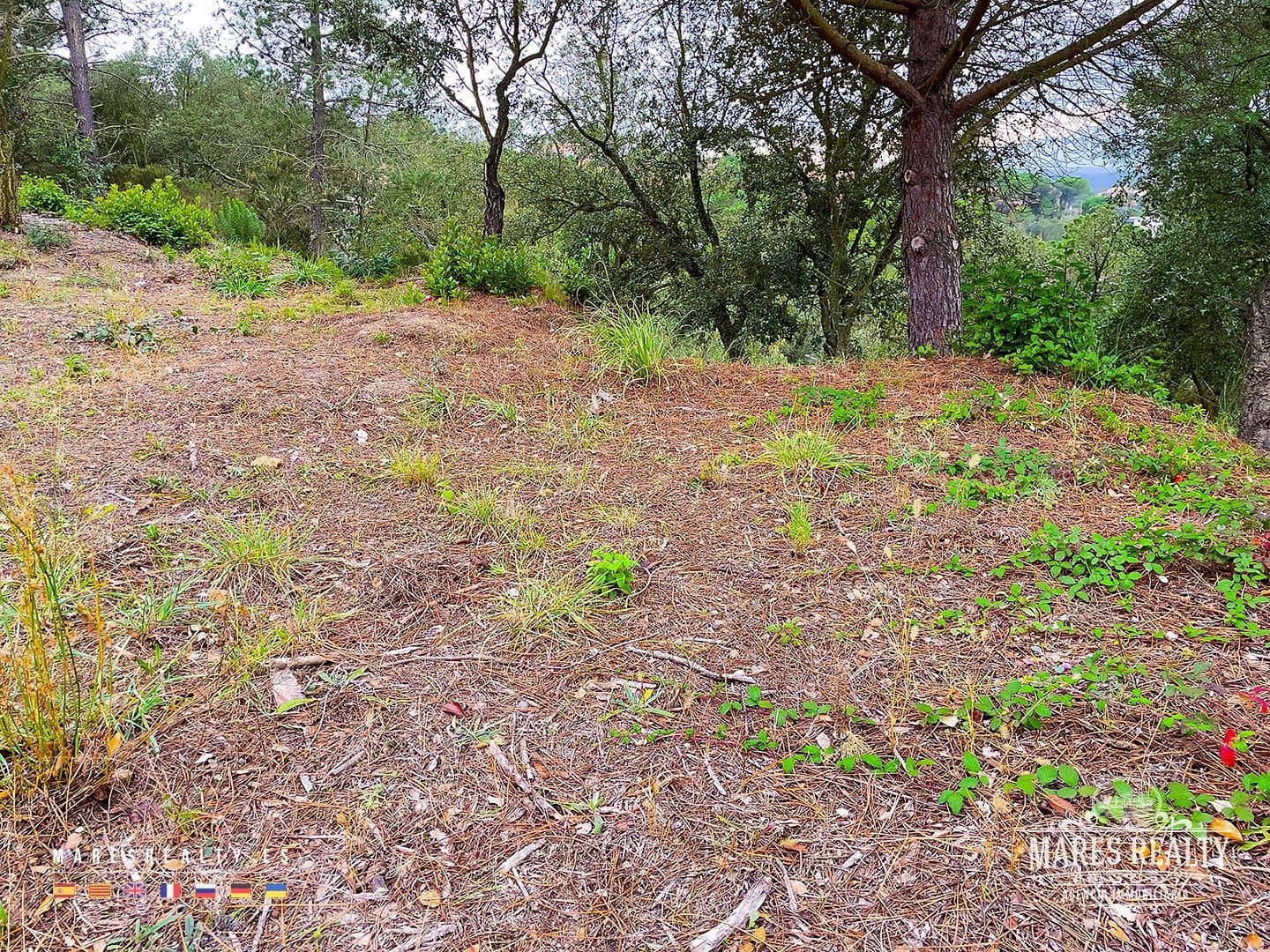 Grond te koop in Lloret de Mar - € 47.000 (Ref: 7985994)