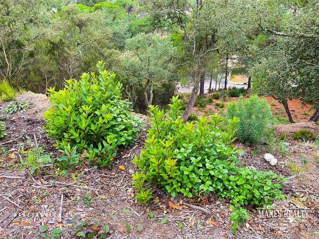 Grond te koop in Lloret de Mar - € 47.000 (Ref: 7985994)