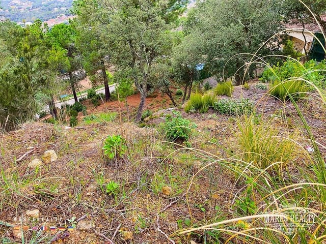 Grond te koop in Lloret de Mar - € 47.000 (Ref: 7985994)