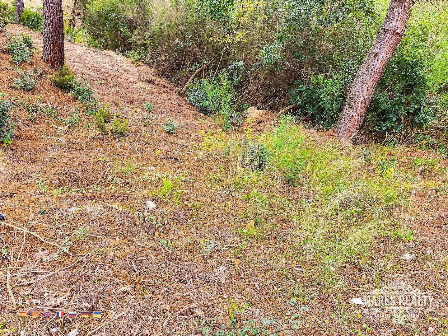 Grond te koop in Lloret de Mar - € 47.000 (Ref: 7985994)