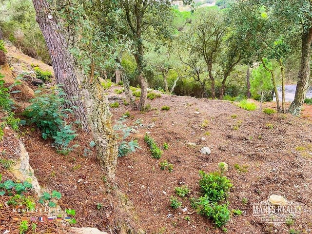 Grond te koop in Lloret de Mar - € 47.000 (Ref: 7985994)