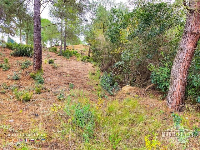 Grond te koop in Lloret de Mar - € 47.000 (Ref: 7985994)