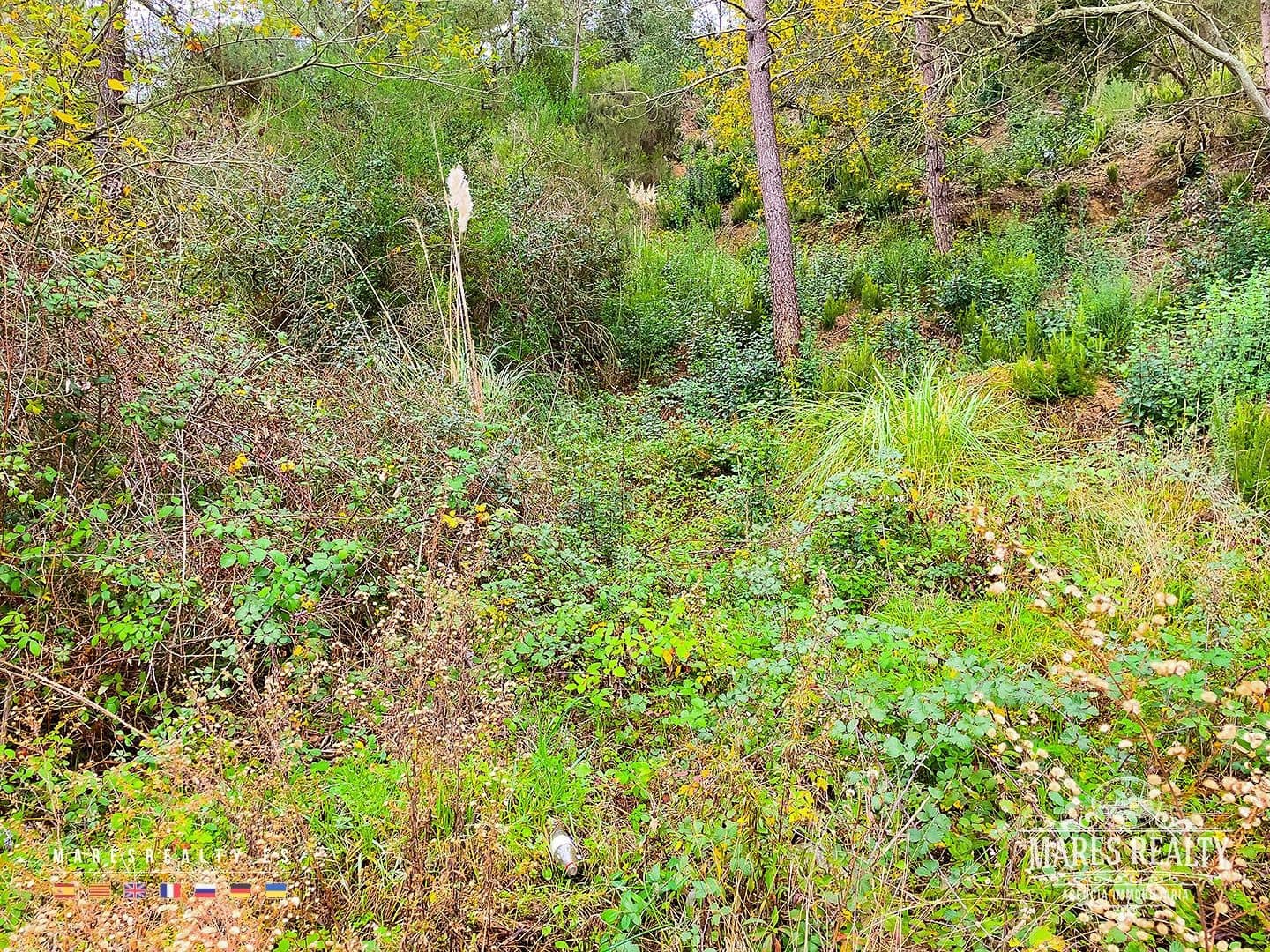 Grond te koop in Lloret de Mar - € 47.000 (Ref: 7985994)