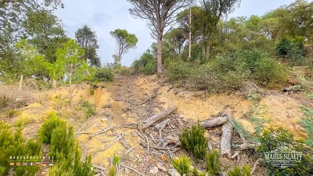 Undeveloped Land for sale in Serra Brava, Lloret de Mar - € 46,000 (Ref: 7995441)