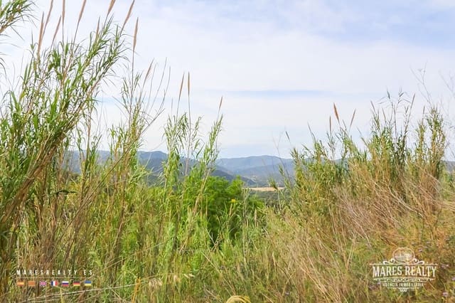 Undeveloped Land for sale in Tossa de Mar - € 180,000 (Ref: 8012581)
