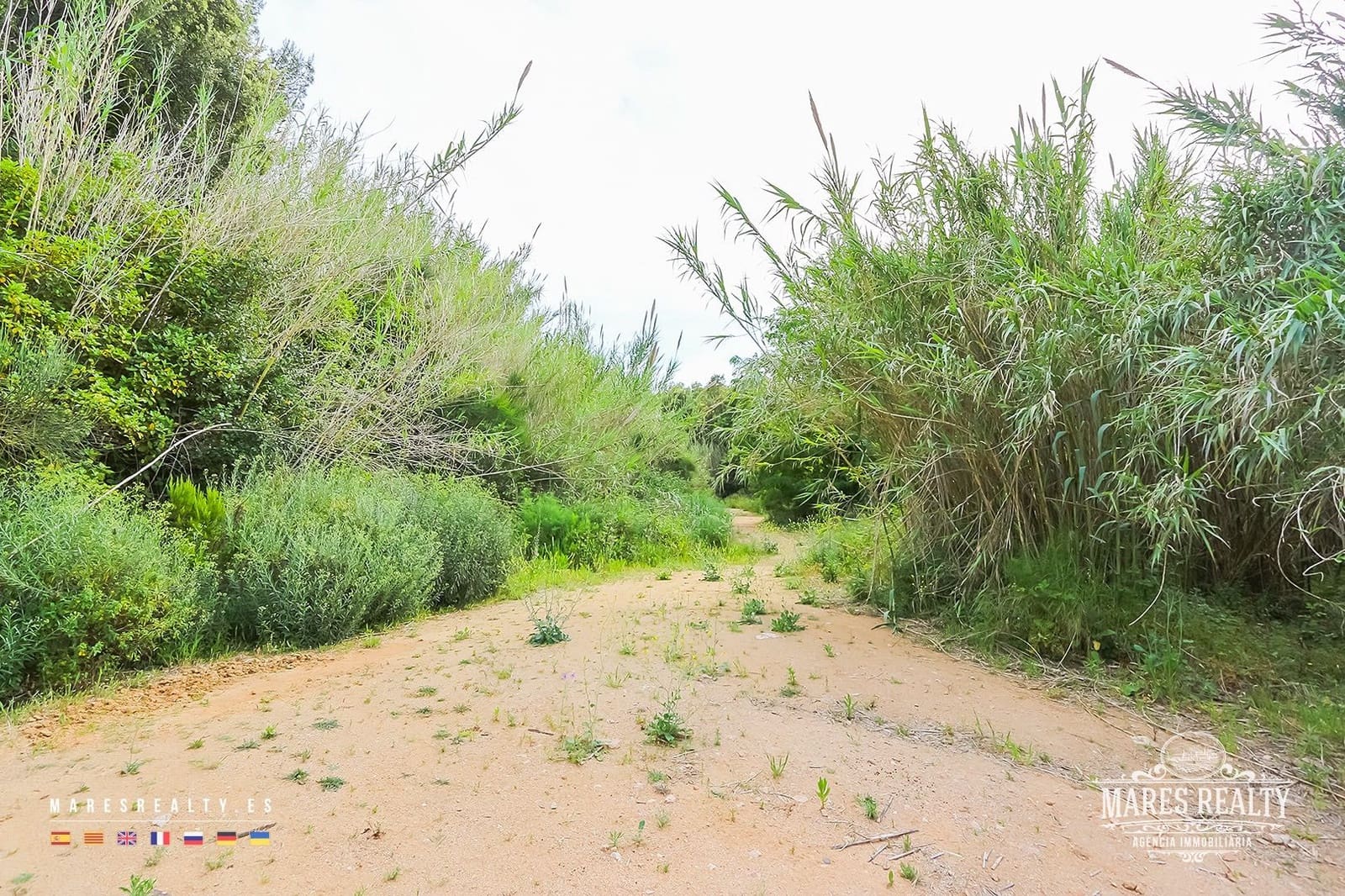 Mark till salu i Tossa de Mar - 180 000 € (Ref: 8012581)