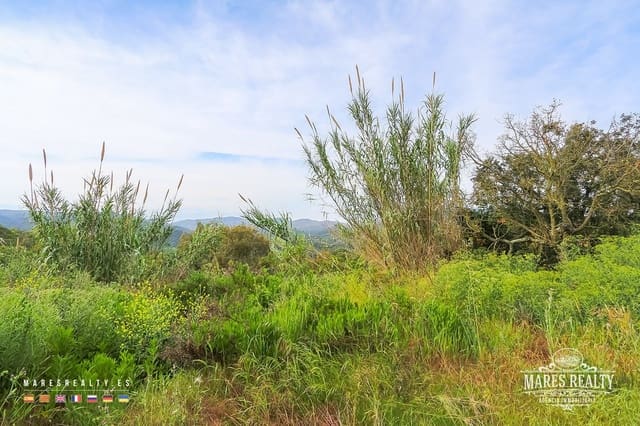 Undeveloped Land for sale in Tossa de Mar - € 180,000 (Ref: 8012581)