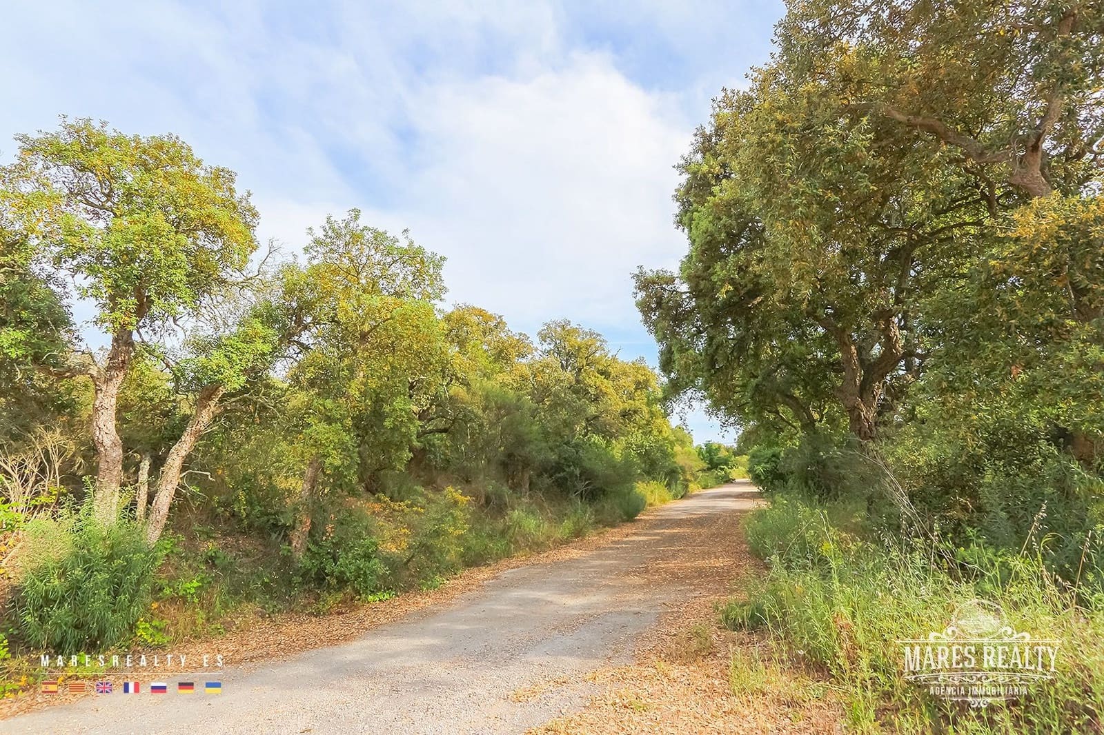 Mark till salu i Tossa de Mar - 180 000 € (Ref: 8012581)