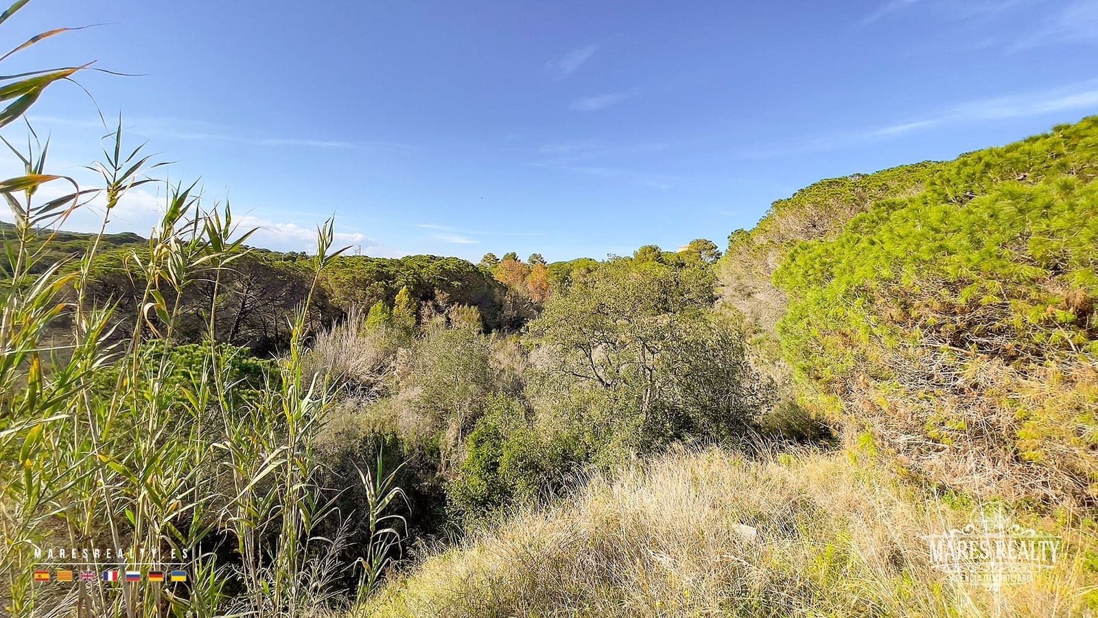 Grunde uden byggetilladelser til salg i Lloret de Mar - € 399.000 (Ref: 8173967)