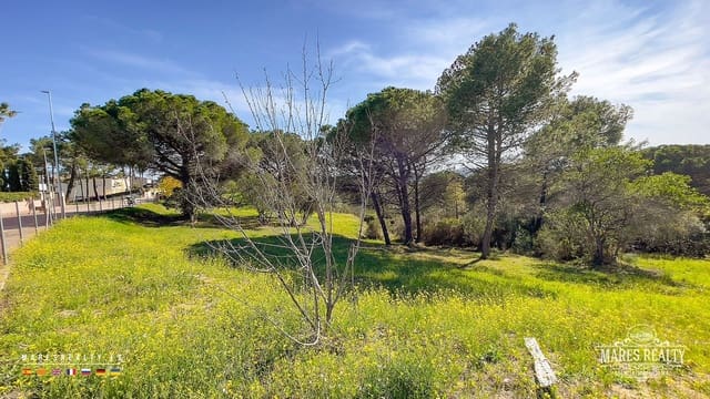 Undeveloped Land for sale in Condado del Jaruco - Puigventós, Lloret de Mar - € 399,000 (Ref: 8173967)