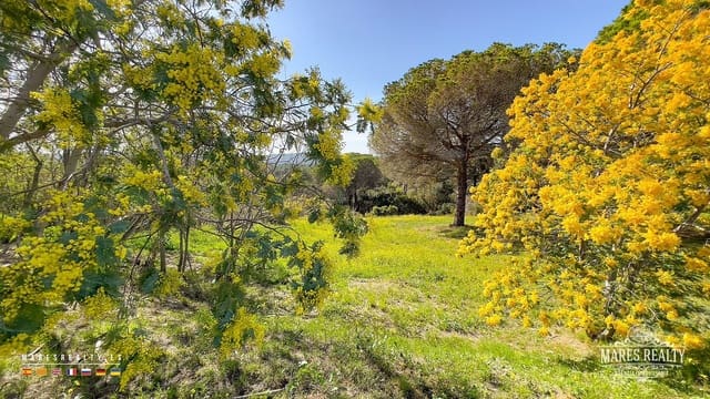 Undeveloped Land for sale in Condado del Jaruco - Puigventós, Lloret de Mar - € 399,000 (Ref: 8173967)