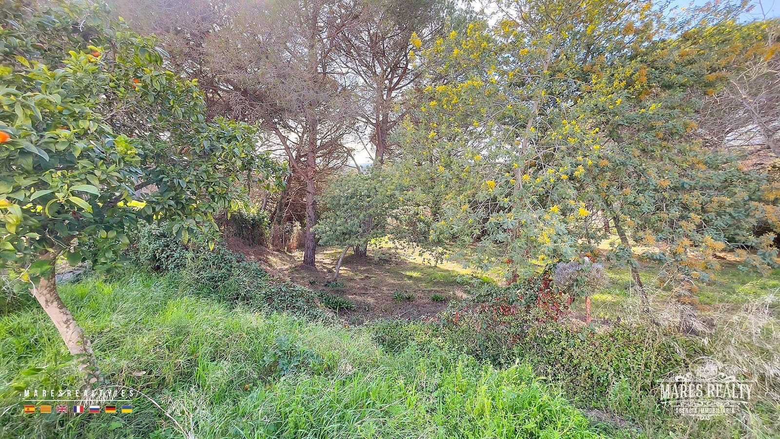 Grunde uden byggetilladelser til salg i Lloret de Mar - € 399.000 (Ref: 8173967)