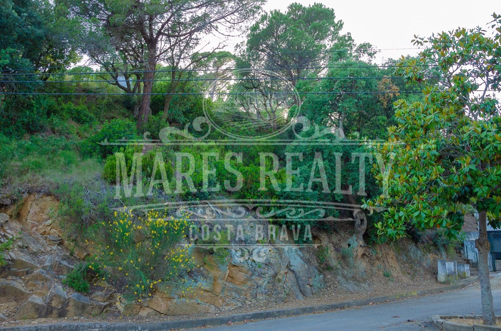 Grunde uden byggetilladelser til salg i Tossa de Mar - € 122.000 (Ref: 8342796)