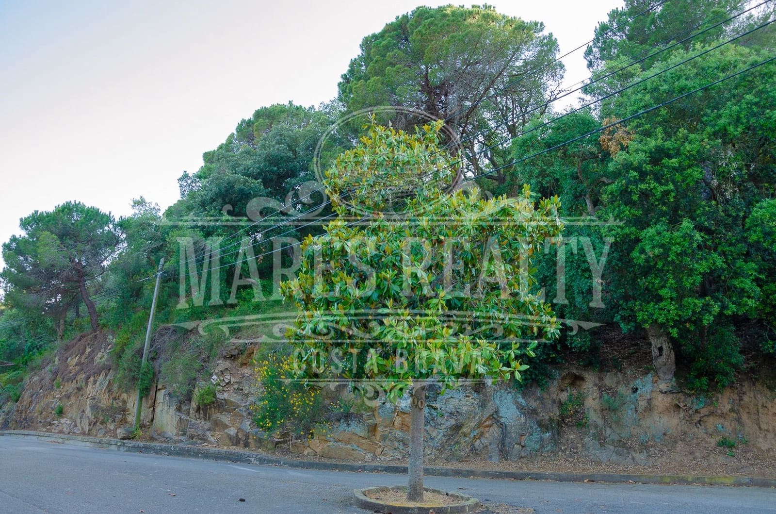 Grunde uden byggetilladelser til salg i Tossa de Mar - € 122.000 (Ref: 8342796)