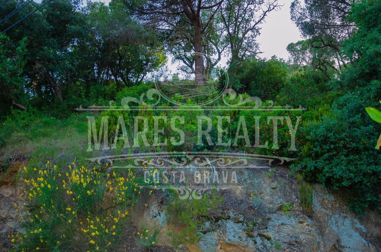 Grunde uden byggetilladelser til salg i Tossa de Mar - € 122.000 (Ref: 8342796)