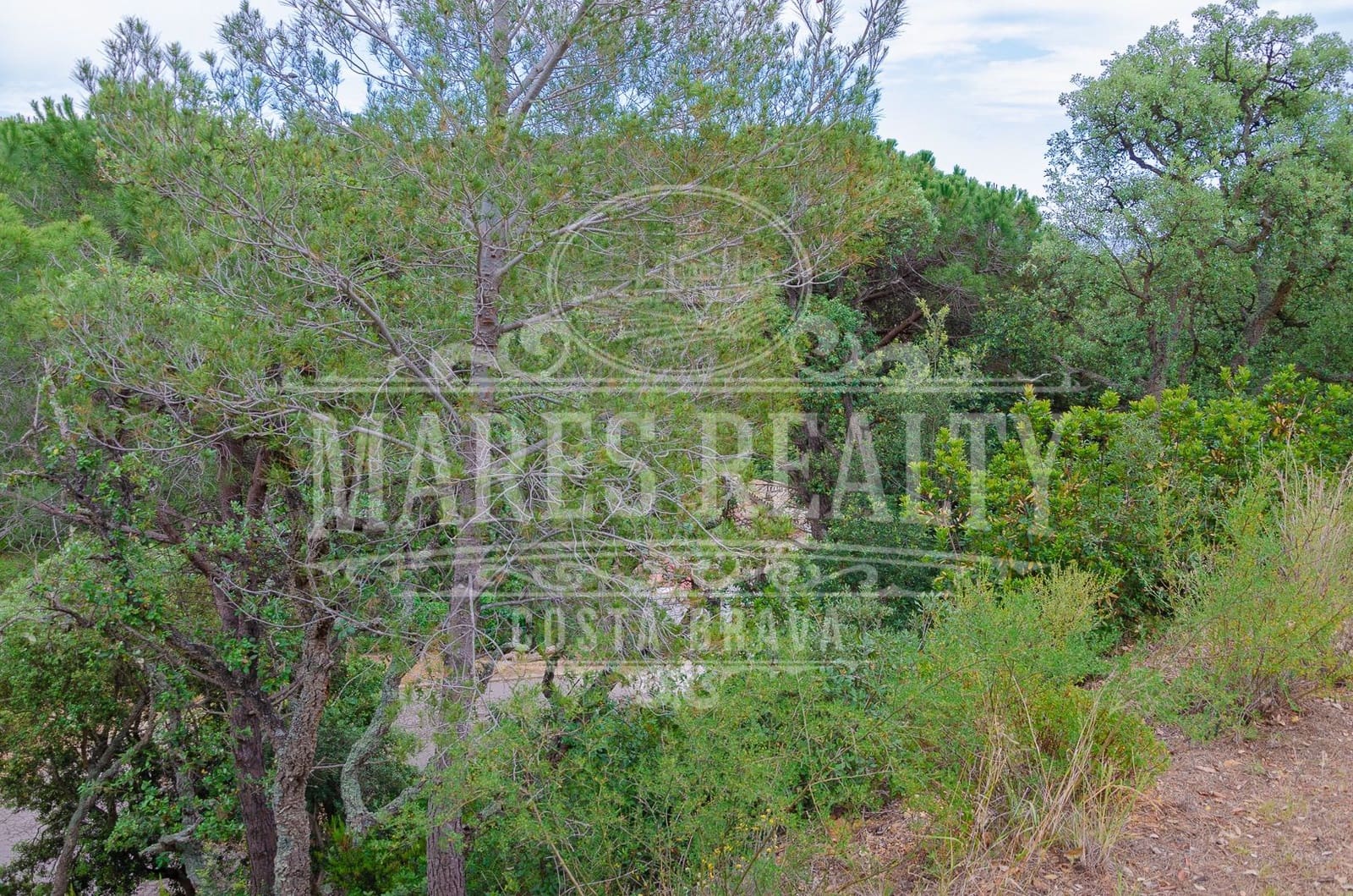 Grunde uden byggetilladelser til salg i Tossa de Mar - € 122.000 (Ref: 8342796)