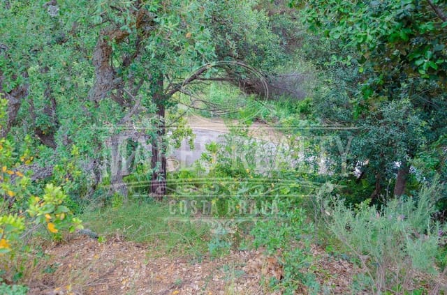 Undeveloped Land for sale in Tossa de Mar - € 122,000 (Ref: 8342796)
