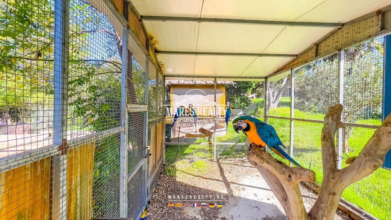 12 quarto Quinta/Casa Rural para venda em Vidreres com piscina - 2 200 000 € (Ref: 8599209)