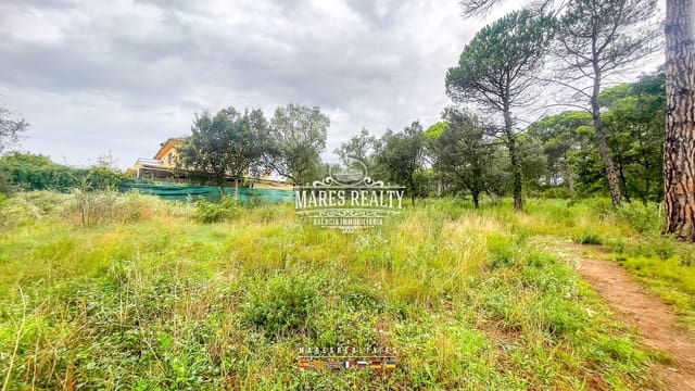 Teren niezagospodarowany na sprzedaż w Vidreres - 70 000 € (Ref: 8636253)