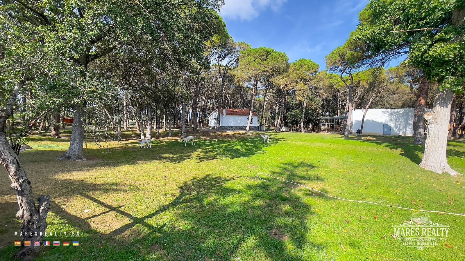 6 Zimmer Finca/Landgut zu verkaufen in Caldes de Malavella mit Pool Garage - 900.000 € (Ref: 8848894)