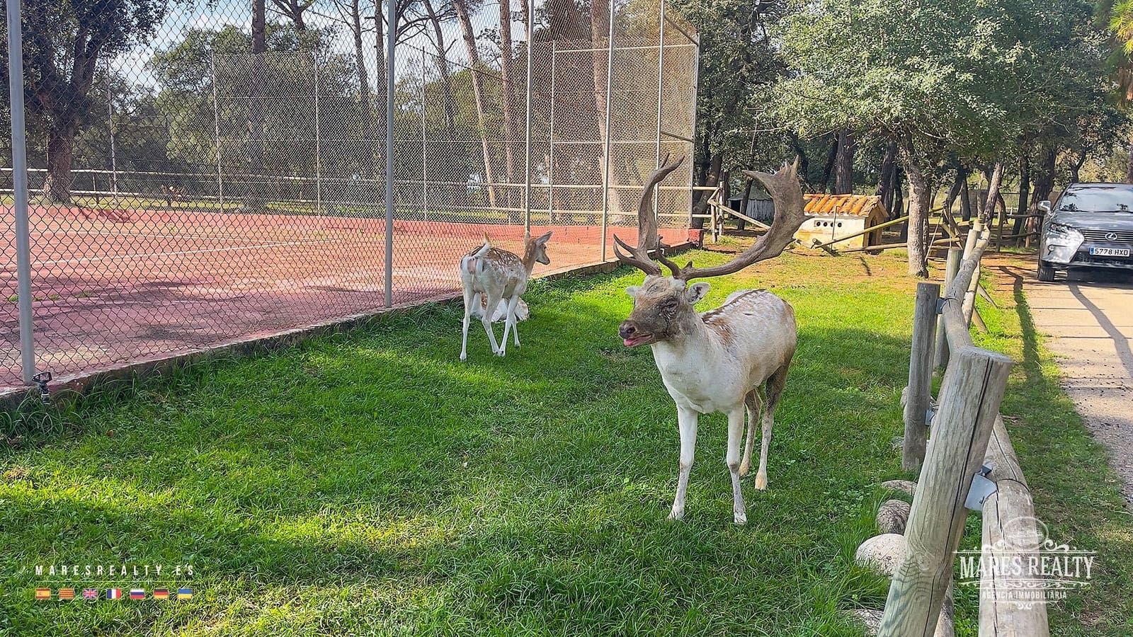 6 Zimmer Finca/Landgut zu verkaufen in Caldes de Malavella mit Pool Garage - 900.000 € (Ref: 8848894)