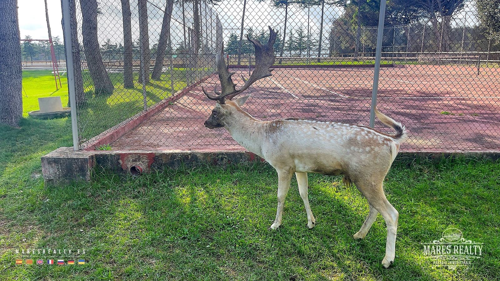 6 Zimmer Finca/Landgut zu verkaufen in Caldes de Malavella mit Pool Garage - 900.000 € (Ref: 8848894)