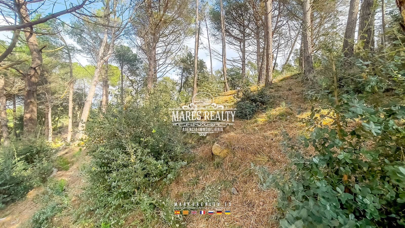 Terreno Não Urbanizado para venda em Lloret de Mar - 75 000 € (Ref: 8851145)