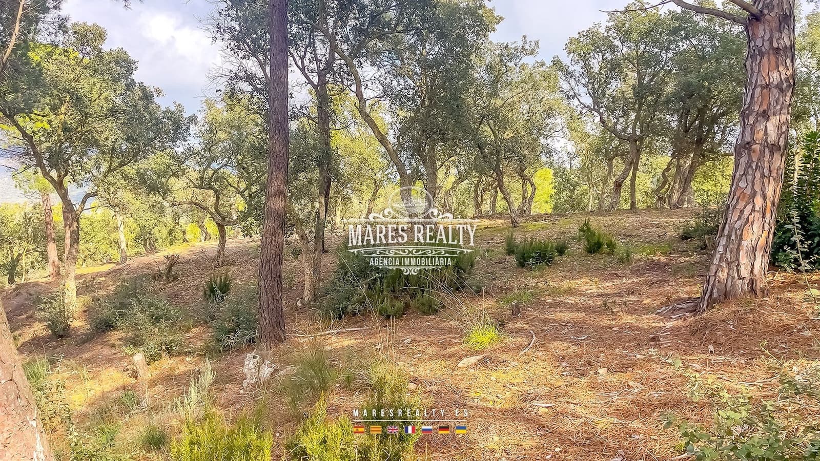 Terreno Não Urbanizado para venda em Lloret de Mar - 75 000 € (Ref: 8851145)