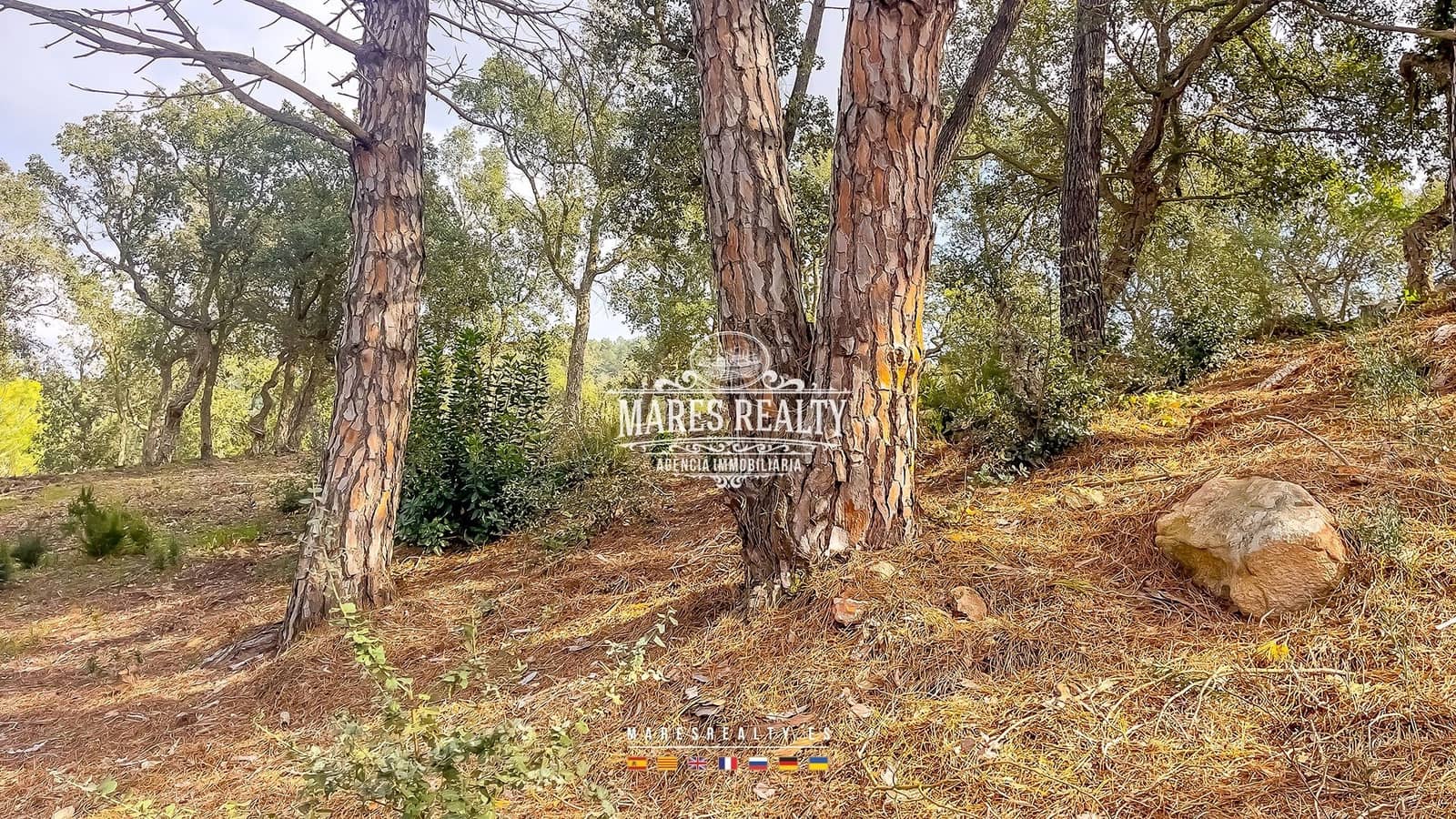 Terreno Não Urbanizado para venda em Lloret de Mar - 75 000 € (Ref: 8851145)