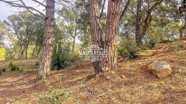 Undeveloped Land for sale in Roca Grossa, Lloret de Mar - € 75,000 (Ref: 8851145)