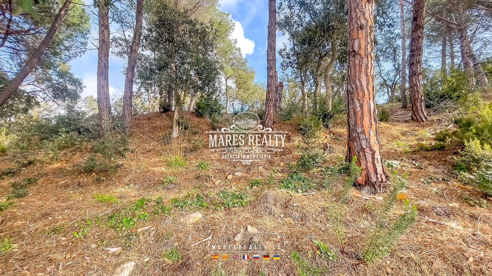 Mark till salu i Lloret de Mar - 75 000 € (Ref: 8851146)