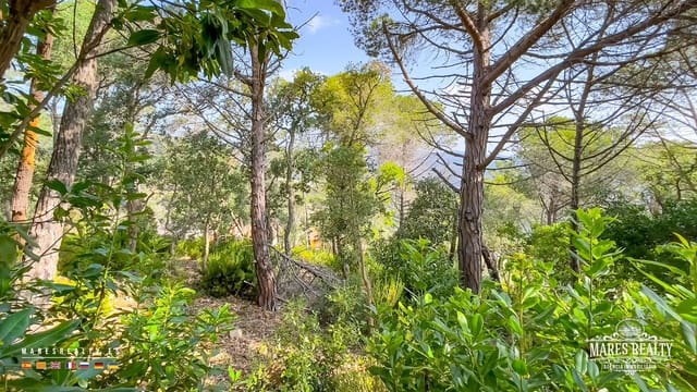 Undeveloped Land for sale in Serra Brava, Lloret de Mar - € 35,000 (Ref: 9057289)