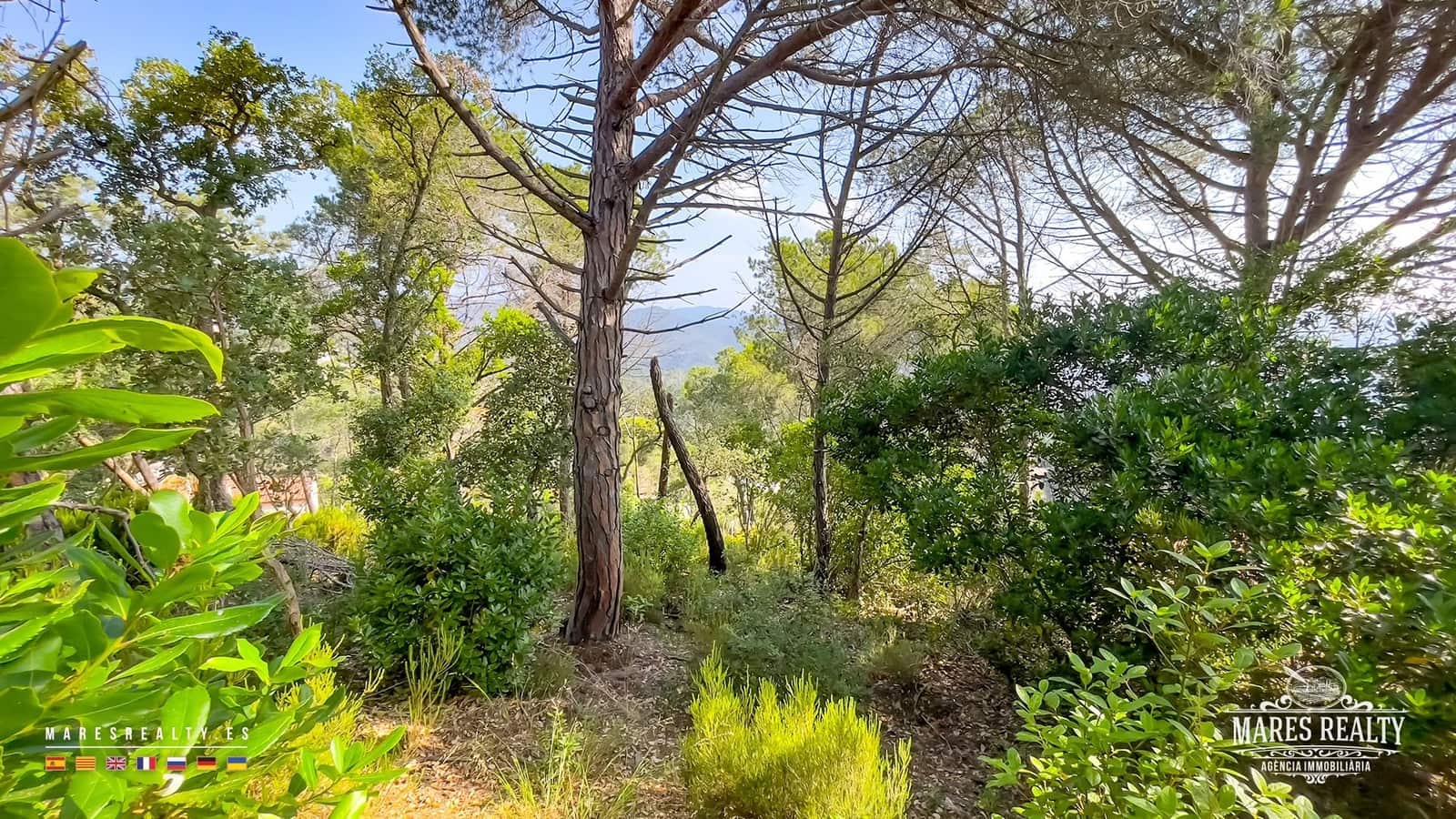 Grunde uden byggetilladelser til salg i Lloret de Mar - € 35.000 (Ref: 9057289)