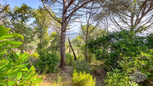 Undeveloped Land for sale in Serra Brava, Lloret de Mar - € 35,000 (Ref: 9057289)