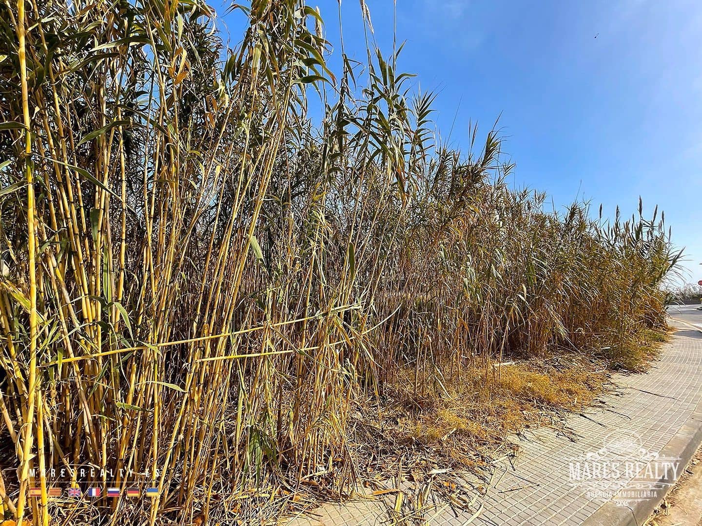 Grunde uden byggetilladelser til salg i Sant Pol de Mar - € 460.000 (Ref: 9102693)