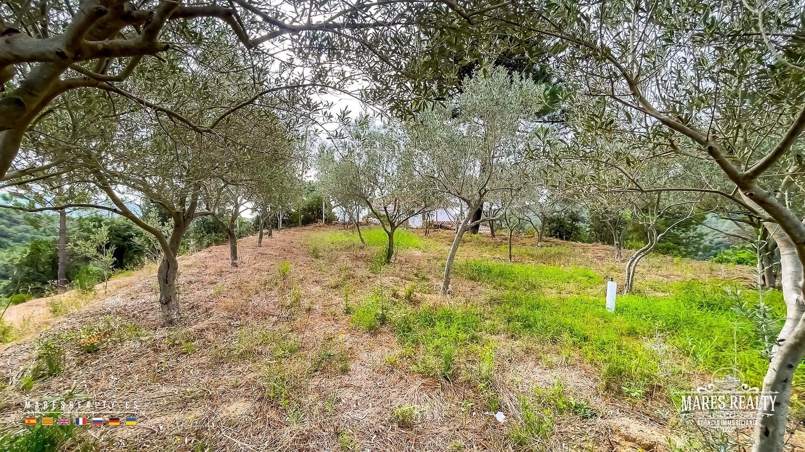 7 sypialnia Willa na sprzedaż w Lloret de Mar z basenem garażem - 695 000 € (Ref: 9256731)