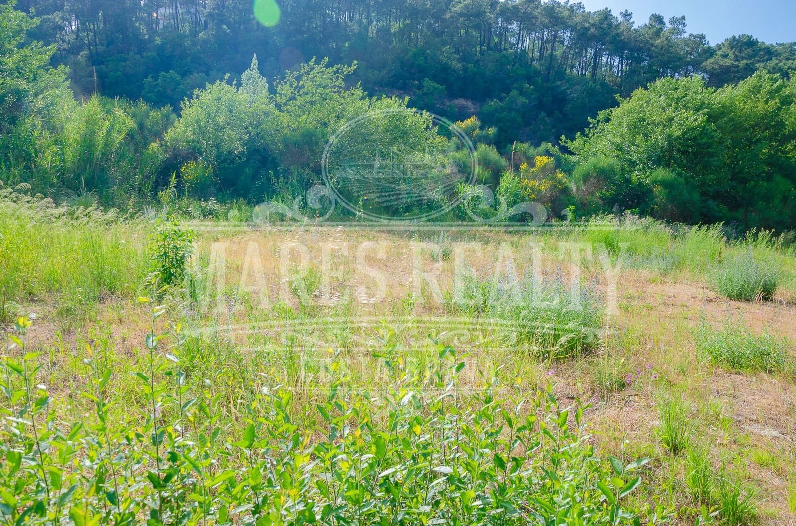 Terre non Aménagée à vendre à Lloret de Mar - 55 000 € (Ref: 9533155)