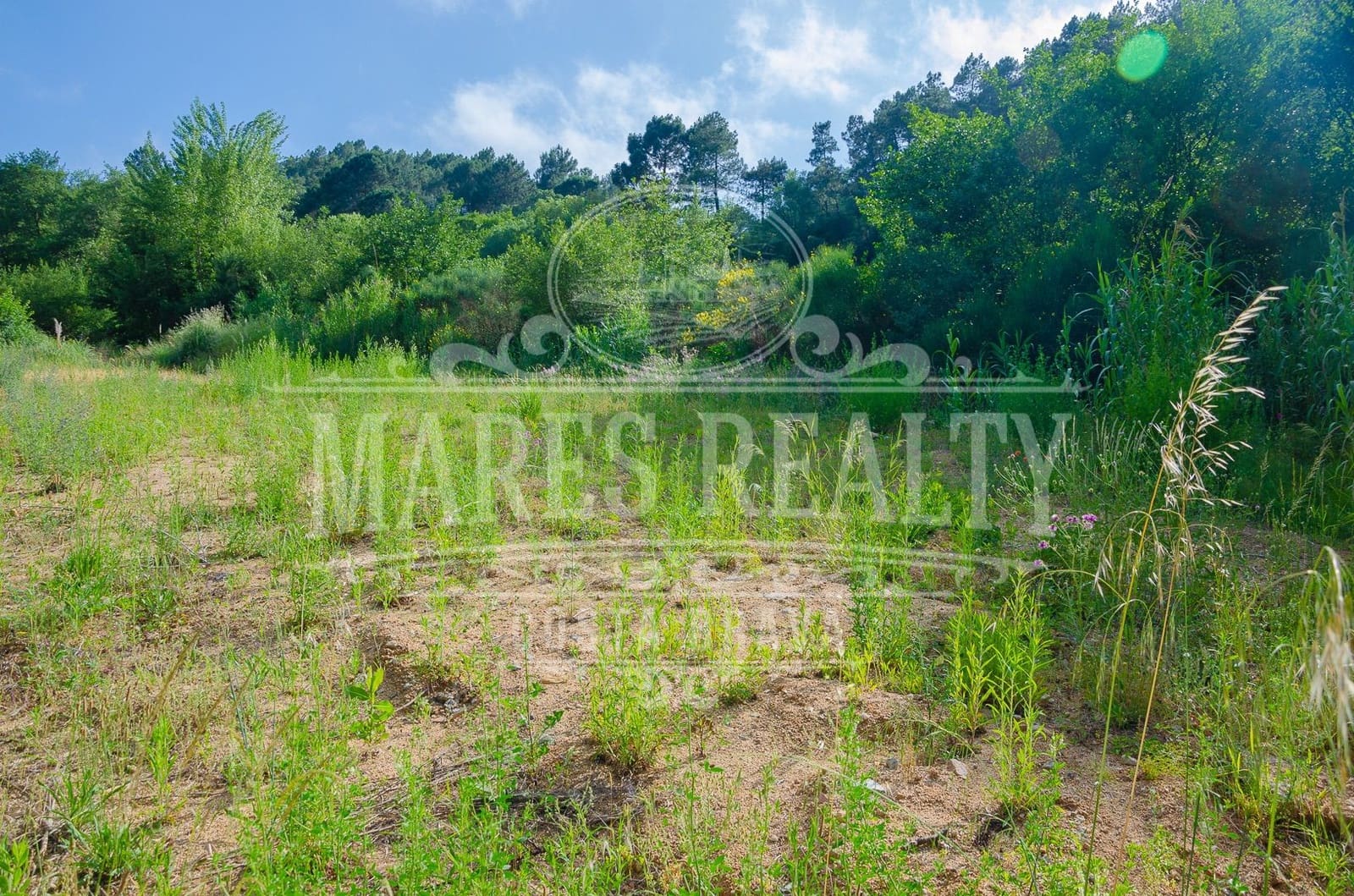 Terre non Aménagée à vendre à Lloret de Mar - 55 000 € (Ref: 9533155)