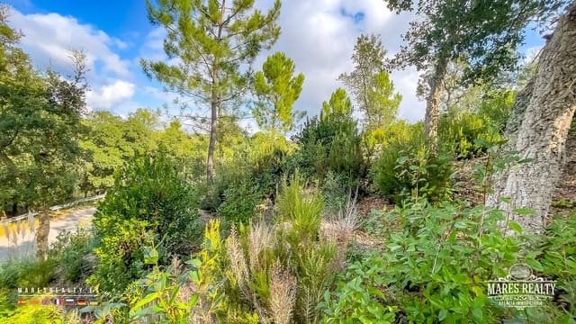 Ubebygd land til salgs i Lloret de Mar - € 50 000 (Ref: 9629578)