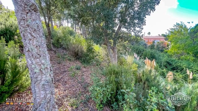 Ubebygd land til salgs i Lloret de Mar - € 50 000 (Ref: 9629578)