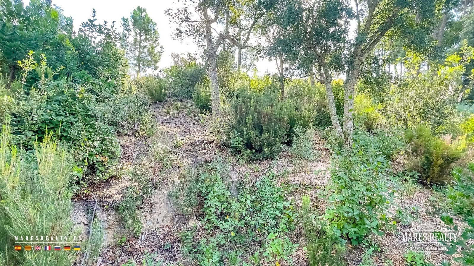 Ubebygd land til salgs i Lloret de Mar - € 50 000 (Ref: 9629578)