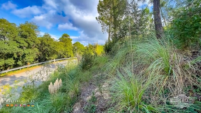 Ubebygd land til salgs i Lloret de Mar - € 50 000 (Ref: 9629578)