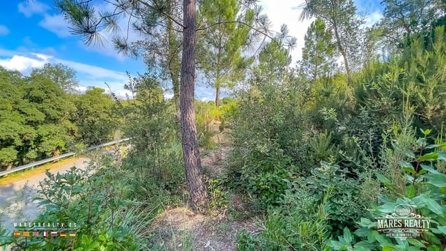 Ubebygd land til salgs i Lloret de Mar - € 50 000 (Ref: 9629578)