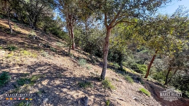 Ubebygd land til salgs i Lloret de Mar - € 420 000 (Ref: 9689986)