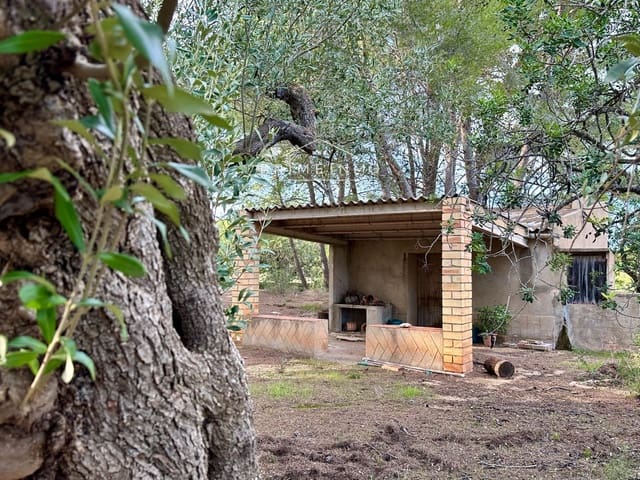 Ubebygd land til salgs i El Perelló - € 118 000 (Ref: 10165465)