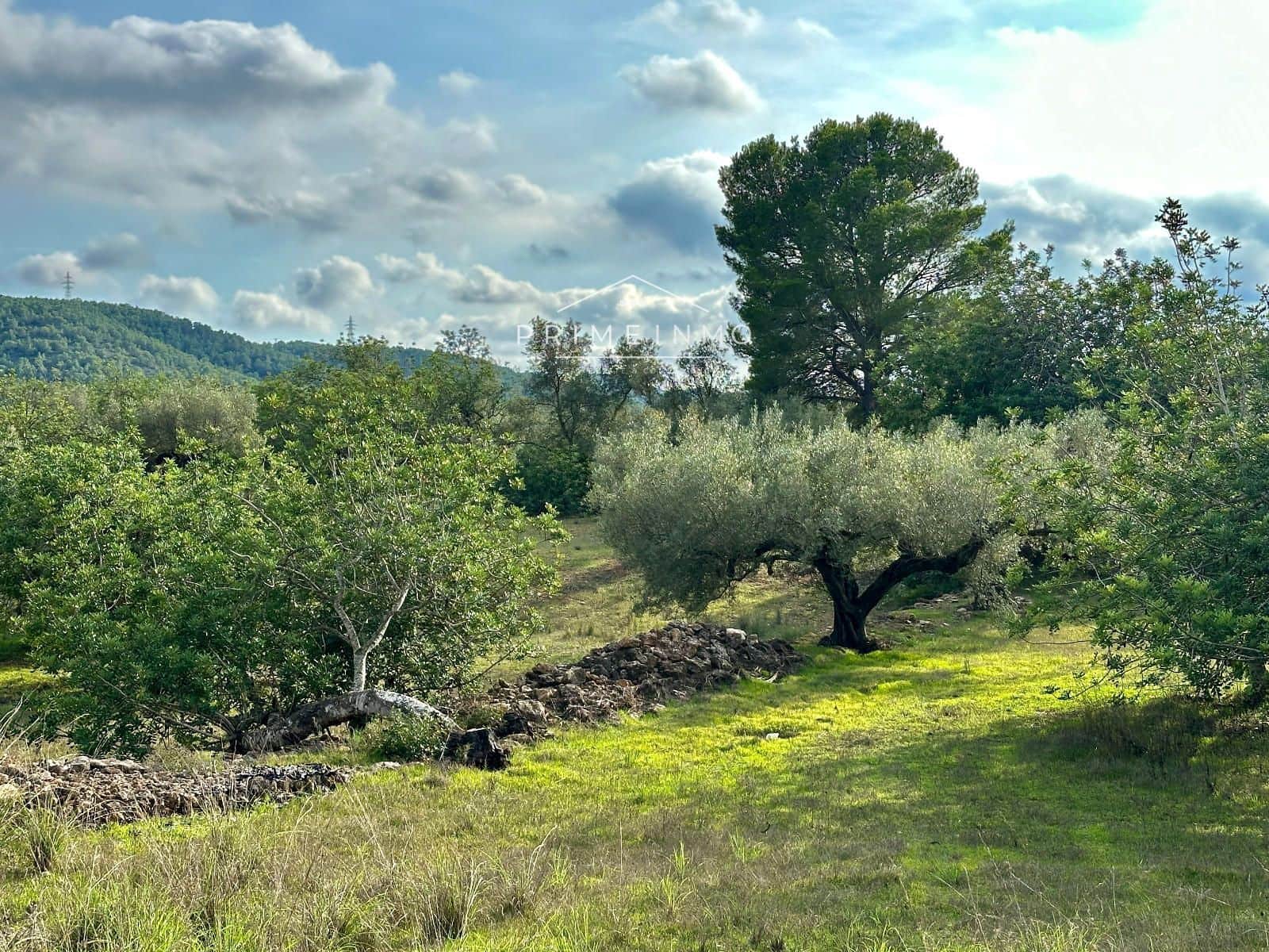 Ubebygd land til salgs i El Perello - € 118 000 (Ref: 10165465)